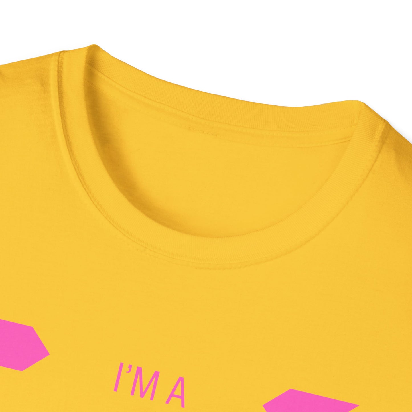 I Slay Sadness (pink font)
