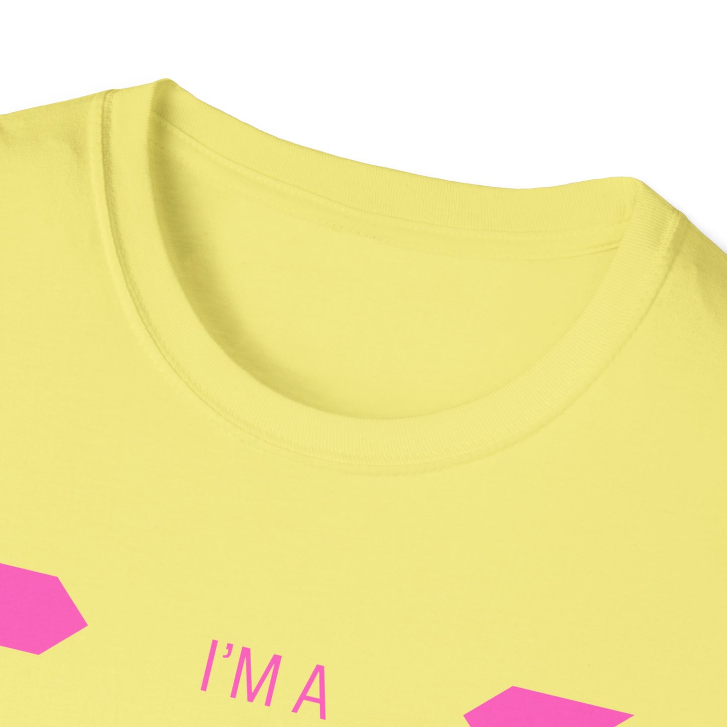 I Slay Sadness (pink font)